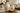 Decorative Bowls
