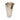 Nova Vase vase