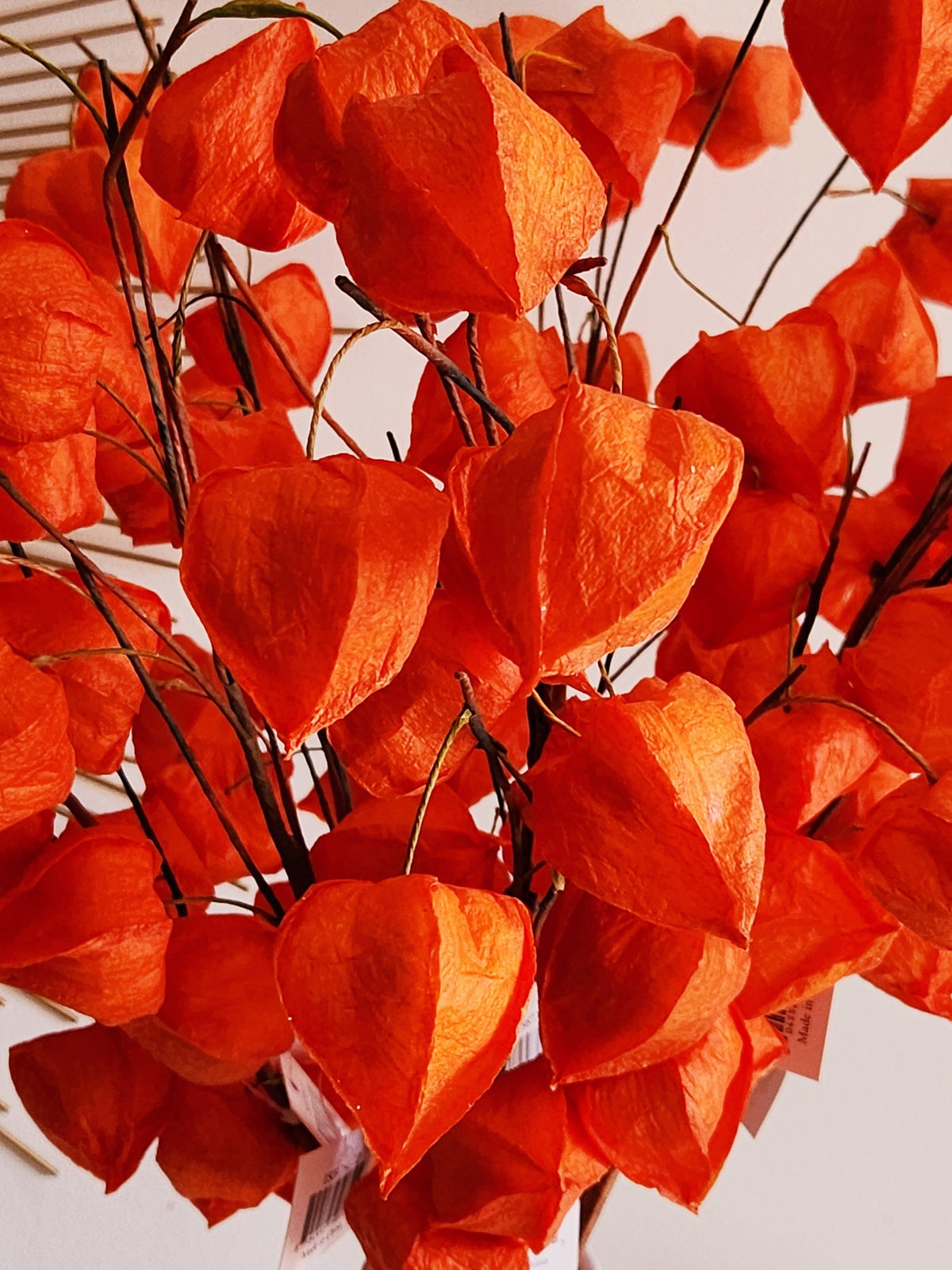 Orange Japanese Lantern Buds Spray Stem