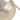 Sea Shell Large Bowl bowl